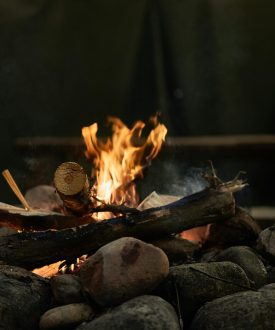 pexels-vadimmarkin-2235874